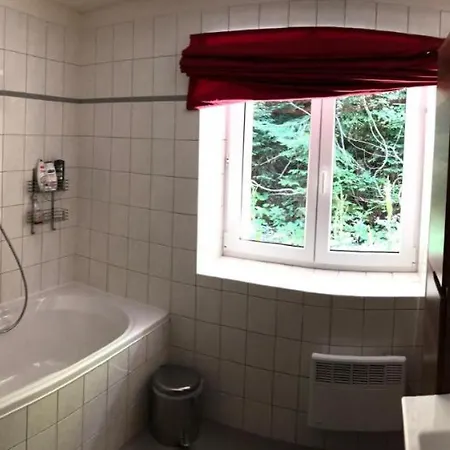 Apartament Poustevnik *